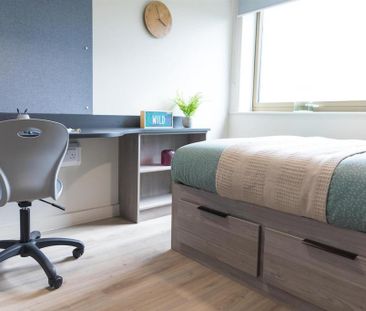 Studio to rent - Photo 3