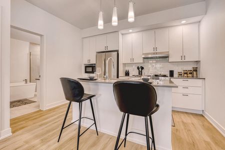 Appartements neufs à louer au coeur d'Aylmer | Grandes unités lumineuses en location à Gatineau | New Brigil apartmen - Photo 3