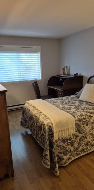 Logements 4 1/2 pour 50 ans et plus Île Bizard - Appartement - Photo 1