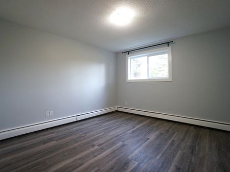 Gorgeous and Modern Fully Renovated 2 Bed Apartment, CATS OK! - Photo 2