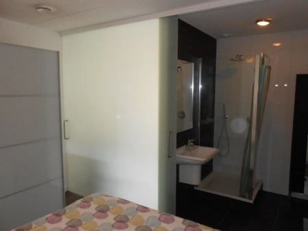 Appartement Kromakkerweg, Eindhoven - Appartement meublé d'une chambre avec jardin - Photo 4