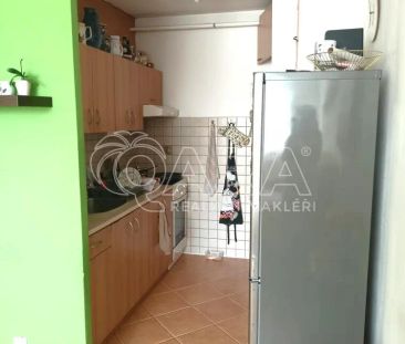 Pronájem bytu 2+kk v Bystřici u Benešova - Photo 4