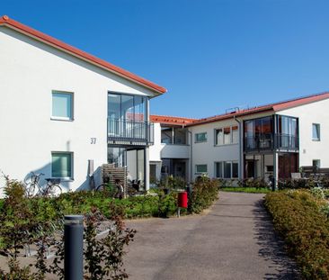 Torggatan 37 - Photo 3