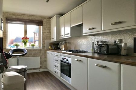 Room in a Shared House, Anglian Way, CV3 - Photo 5