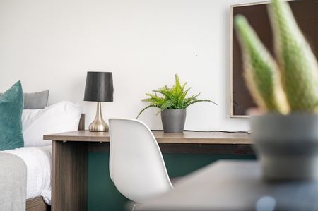 Studio Flat, Howard Lane, S1 - Photo 3
