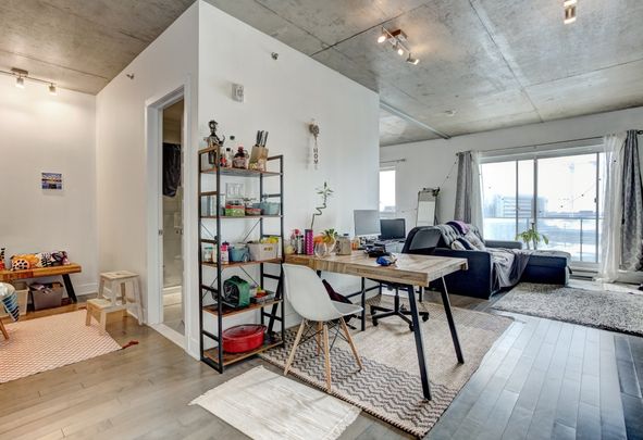 Condo for rent, Mont-Royal - Photo 1