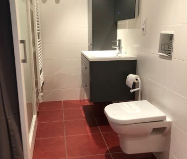 Appartement T2 Aix-les-Bains à louer - Photo 3