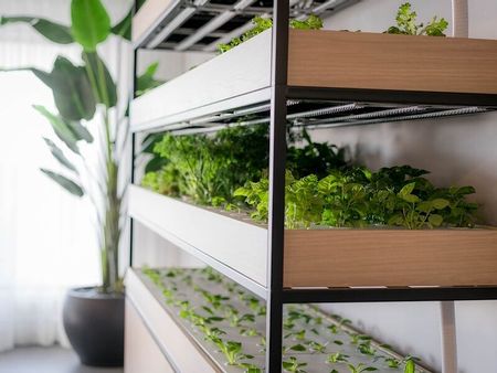 Rental condos Longueuil - Photo 5