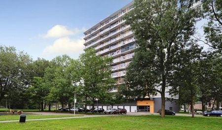 Elviraland 0ong, 2591 Den Haag, Nederland - Photo 2