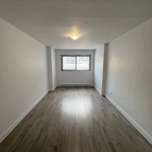 1 CH - 1 SDB - Saint-Laurent - $1,200 /mo - Photo 3