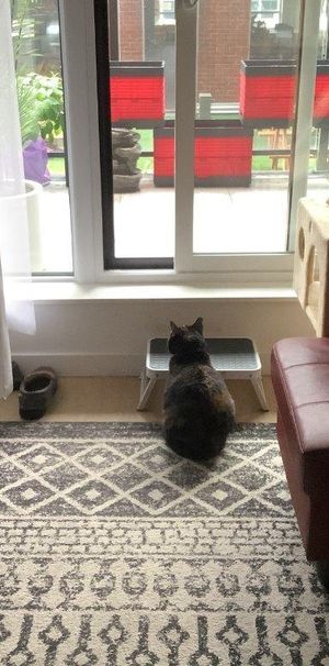 Appartement/condo 4 1/2 - Photo 1