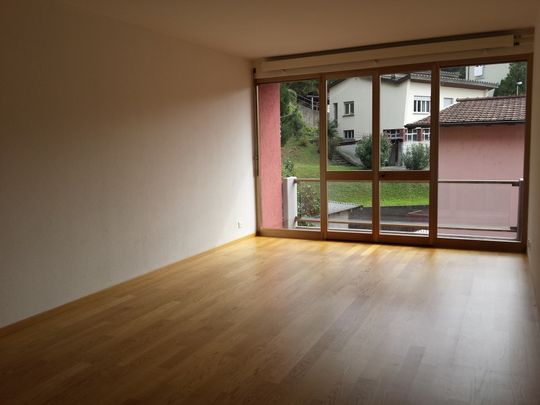 Mendrisio, 3,5 locali con doppi servizi, ristrutturato - Photo 1