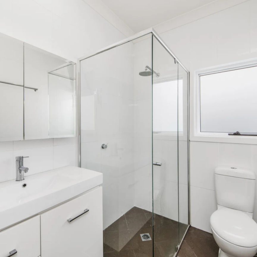 20 Breillat Street, Annandale. - Photo 1