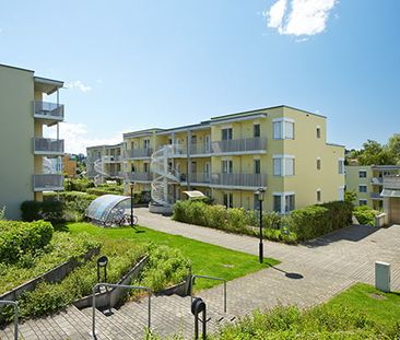 "Grün, freundlich, modern" - Foto 3