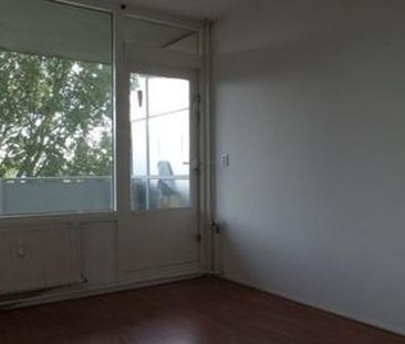 Milanenhorst 2317 CL Leiden - Photo 5