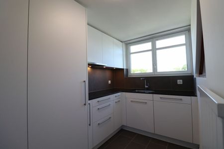Im beliebten Freuler-Quartier - moderne Maisonette-Dachwohnung mit 2 Balkonen - Foto 2