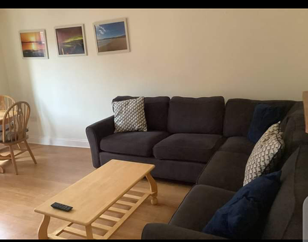 Clean Beautiful Furnished One bedroom Apartment Available - Photo 4