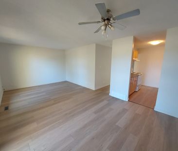 3 Bedroom 1.5 Bathroom Unit in Oriole Park - Photo 2