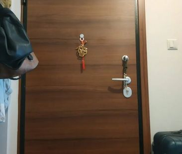 Studio/Γκαρσονιέρα για ενοικίαση Μέσα Αγυιά - Παναχαϊκή (Πάτρα) - Photo 2