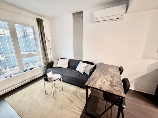 Appartement à louer, Montréal (Le Plateau-Mont-Royal) - Photo 1