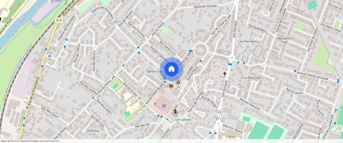 VIENNE (86), - NOUVELLE-AQUITAINE, BUXEROLLES (86180)