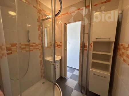 Pronájem bytu 2+1, 51 m - Fotografie 5