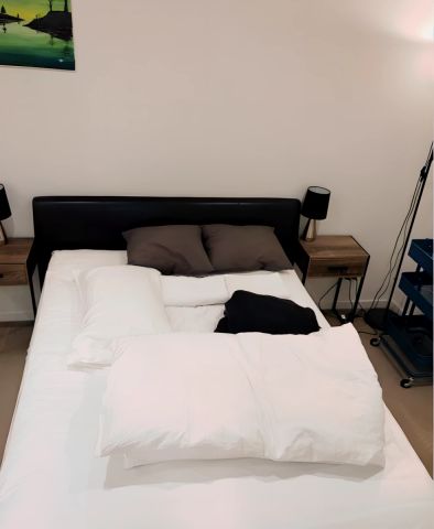 2 bed 1 bath - Photo 4