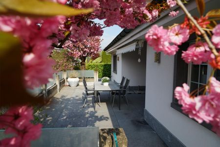 6.5-Zimmer-Einfamilienhaus inkl. Hobbyraum mitten in Schwyz - Foto 5