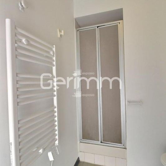 Location Appartement 1 pièce 16m² GRENOBLE 38000 - Photo 1