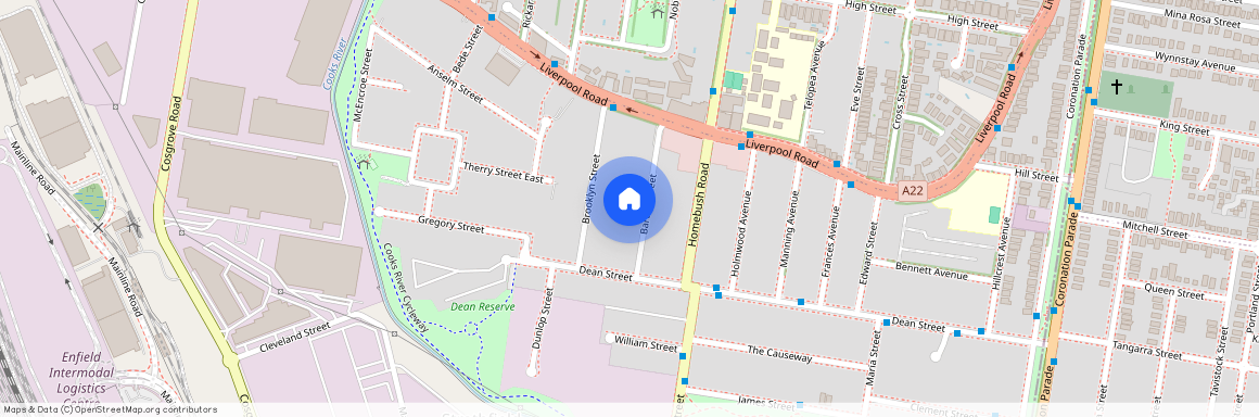 21 Barton Street, NSW 2136, Strathfield South