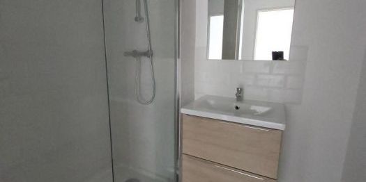 Appartement à louer, 1 pièce - Angers 49100 - Photo 3