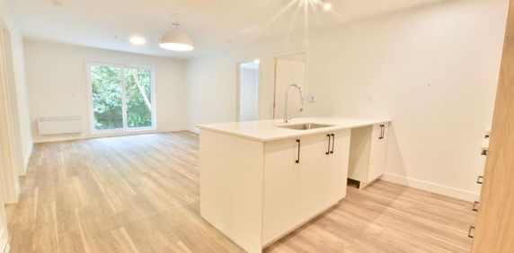 Spacieux 4 ½ à louer - Photo 2