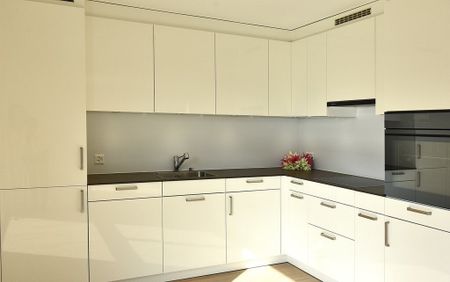 STILVOLL WOHNEN IN DÄNIKEN! - Photo 4