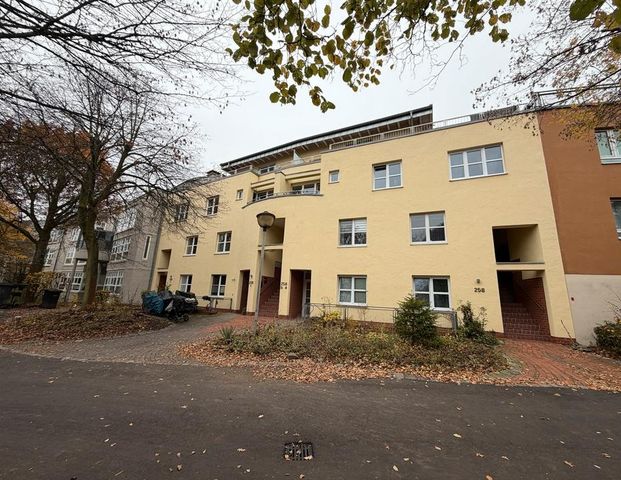 Schöne, renovierte 2 ZKB Wohnung in KS, direkt an der Dönche - Foto 1