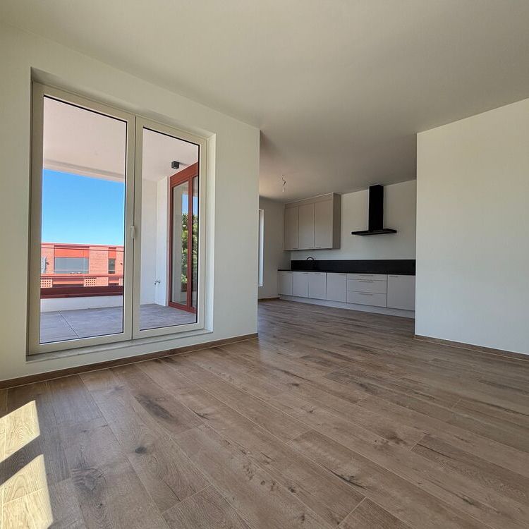 Lichtrijke penthouse met 2 slaapkamers in Sint-Lievens-Houtem - Photo 1