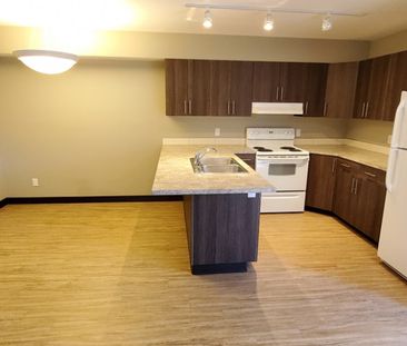 GORGEOUS 2 BEDROOM BY THE RED DEER RIVER - LOW INCOME HOUSING - Photo 6