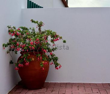 Moradia independente em Miragaia e Marteleira - Foto 4