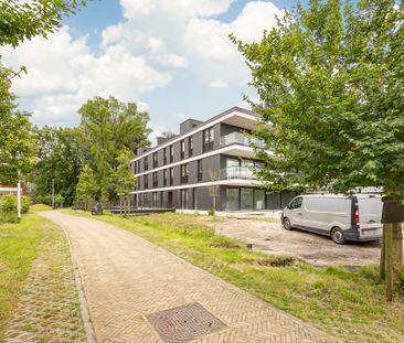 Nieuwbouw met terras van 50m2 - Foto 6