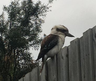 Coburg North - Photo 1