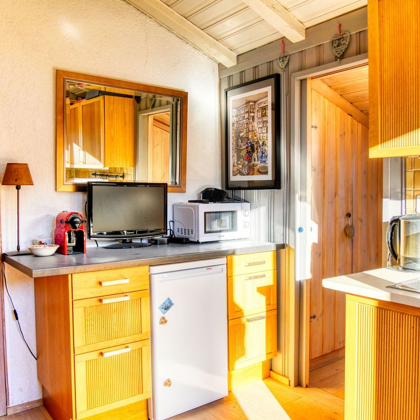 FOR RENT Beautiful furnished 2 ½-room apartment in the heart of nature - Photo 1