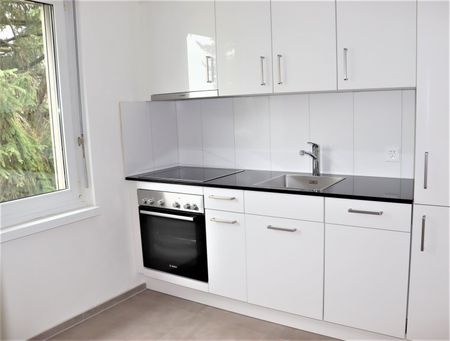 2.5 Zimmer, 52 m², 4. Stock - Photo 3