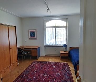 1 Zimmer-Wohnung in Basel - Birsfelden, möbliert - Photo 2
