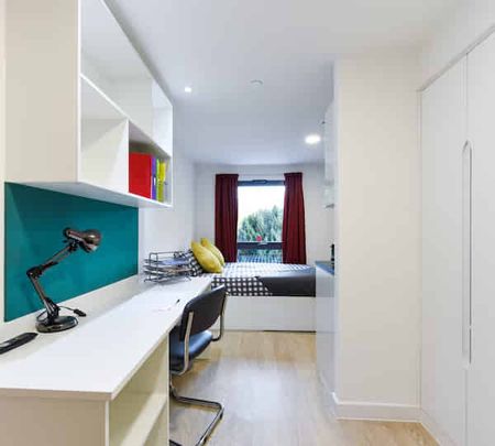 Studio Bronze - Photo 4