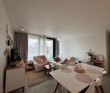 Ginderbroek 66 bus 203, 2400 MOL - Photo 4