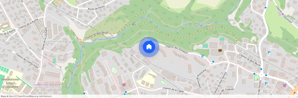 Ch. des Ormeaux 36, 1066, Epalinges