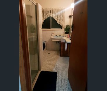 444 Schubach Street, East Albury, NSW 2640 - Photo 1