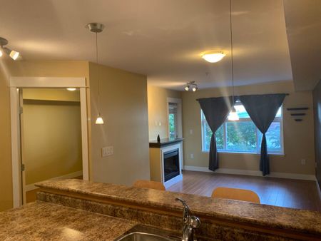 Condo in Central Abbotsford - Photo 4