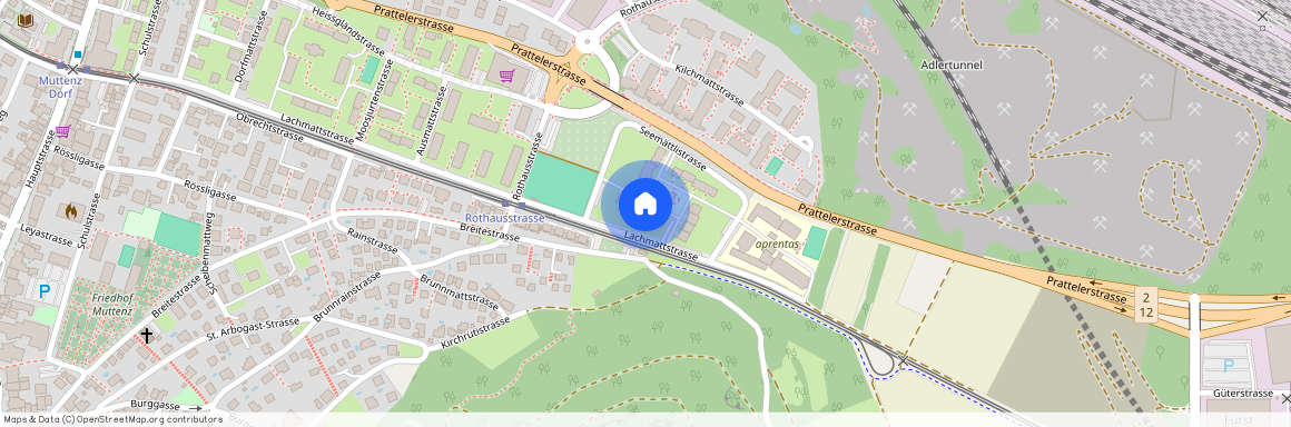 Lachmattstr. 69, 4132, Muttenz