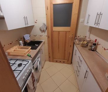 Wrocław, Stare Miasto - Photo 3