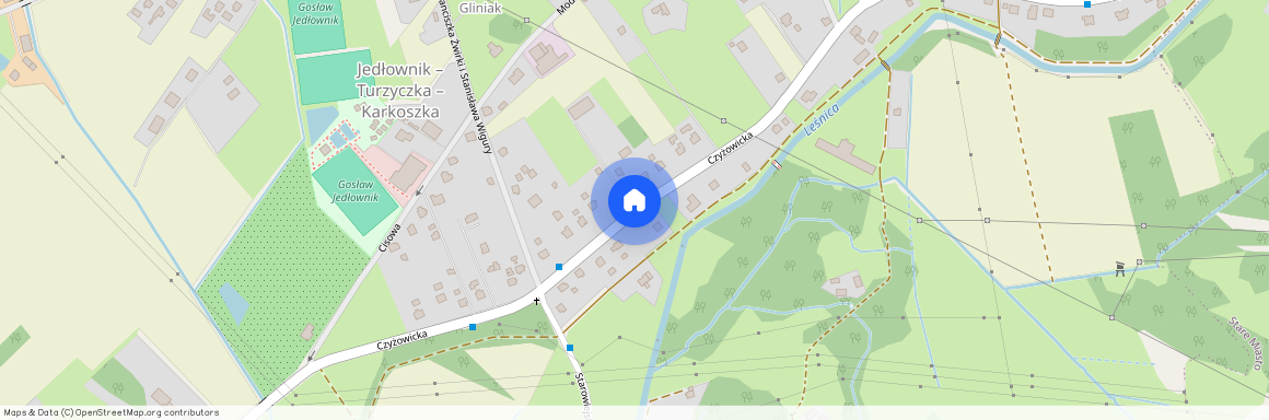 ul. Czyżowicka, Wodzisław Śląski, wodzisławski, śląskie